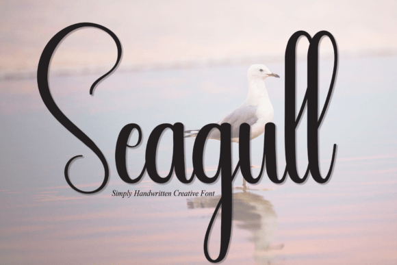 Seagull Font: A Casual Handwritten Script for Modern Designers